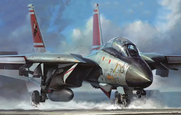 USA, Deck, fighter-interceptor, multi-role fighter, Grumman F-14 Tomcat, US NAVY, F-14D Tomcat