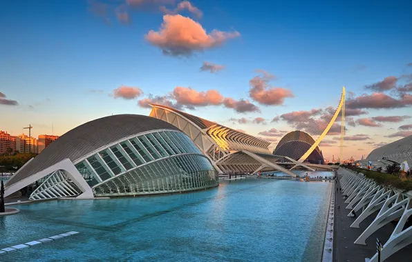 Spain, Valencia, the architectural complex, The city of arts and Sciences