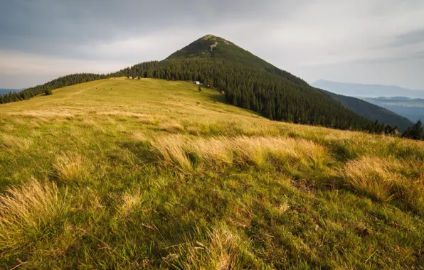 Mountains, mountains, Carpathians, Carpathians