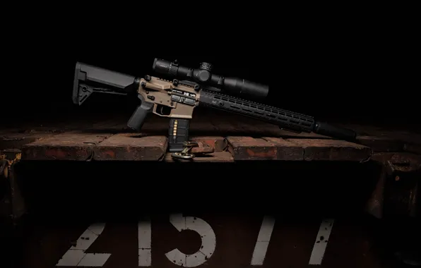 Weapons, weapon, carabiner, assault rifle, assault Rifle