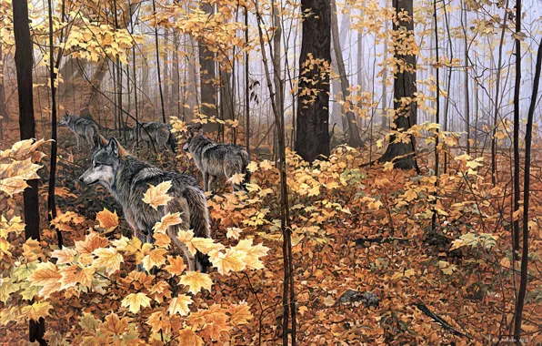 Autumn, forest, animals, nature, yellow leaves, wolves, maple, painting