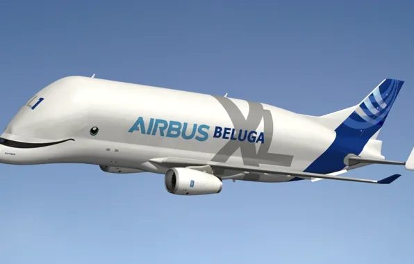 The plane, jet, cargo, Beluga, widebody, A300-600ST