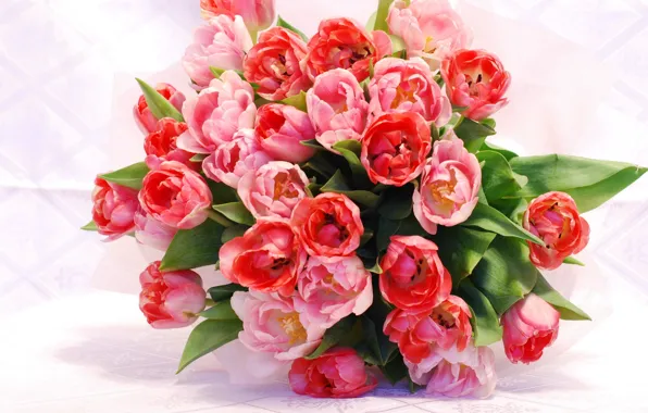 Picture flowers, bouquet, spring, tulips