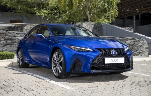 Picture car, lexus, blue