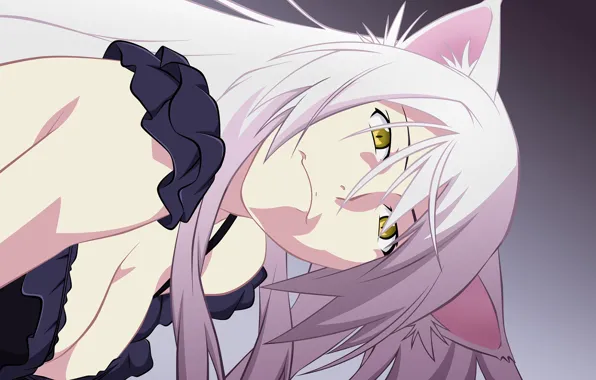 Girl, Nothing, Bakemonogatari, Hanekawa