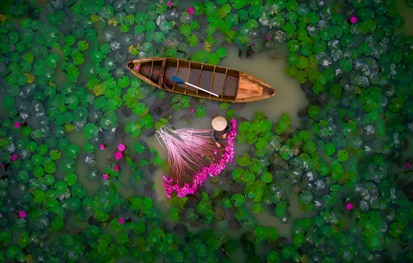 Flowers, boat, fisherman, water lilies