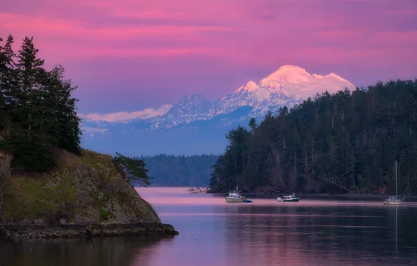 Forest, the sky, trees, sunset, mountains, rocks, yachts, boats