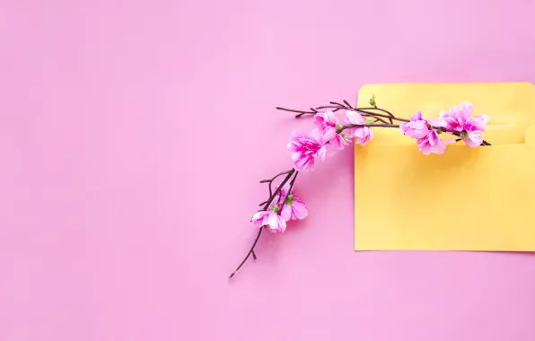 Flowers, background, branch, spring, pink, pink, blossom, flowers