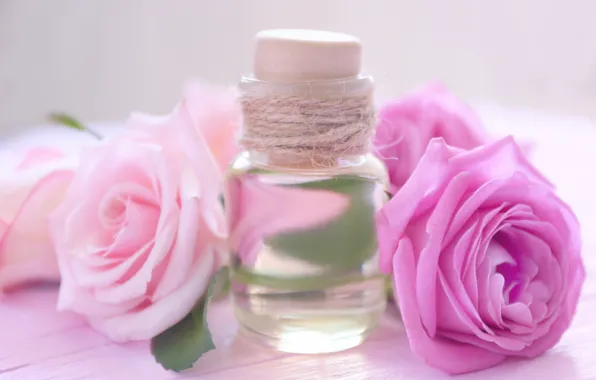 Picture oil, roses, perfume, bottle, aroma, roses, perfume, oil