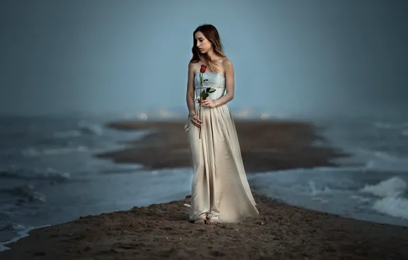Sea, girl, rose, Sofia
