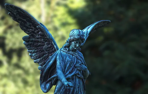 Picture wings, angel, statue