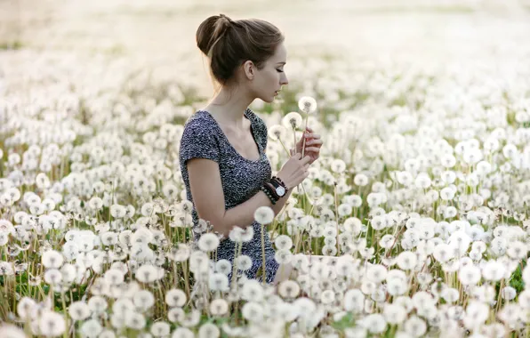 Summer, girl, nature, dandelion, beauty