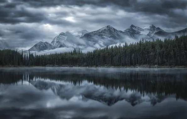 Picture forest, clouds, reflection, mountains, fog, lake, river