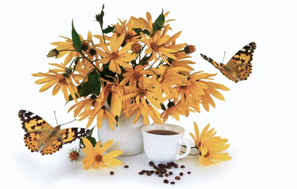 Butterfly, coffee, Cup, vase, grain, Jerusalem artichoke