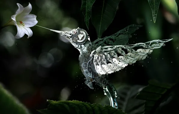 Flower, mechanism, robot, Hummingbird