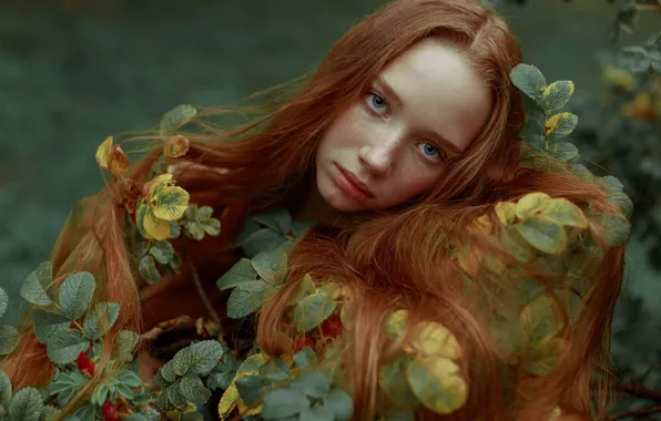 Look, leaves, girl, face, portrait, freckles, red, redhead