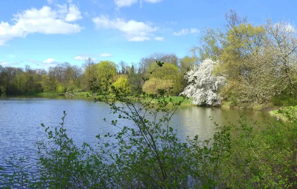 Picture Nature, Lake, Poland, Warsaw, Park, Nature, Poland, Warsaw