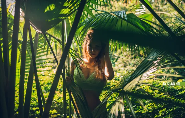 Look, leaves, girl, the sun, sexy, pose, model, panties