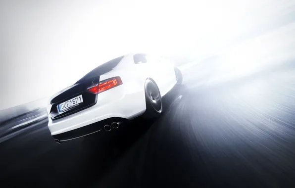 Audi, ABBOT