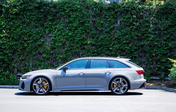 Picture audi, Side, Gray, Before, RS6, VAG