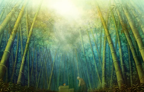 Forest, leaves, the sun, nature, anime, bamboo, art, bird