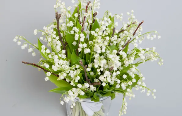 Flowers, nature, bouquet, spring, lilies of the valley, spring, landuse