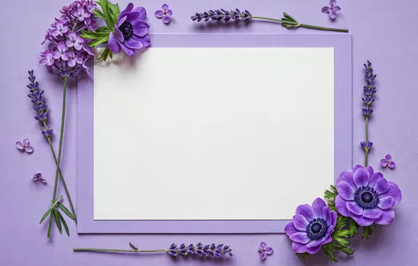 Flowers, frame, flowers, frame, floral