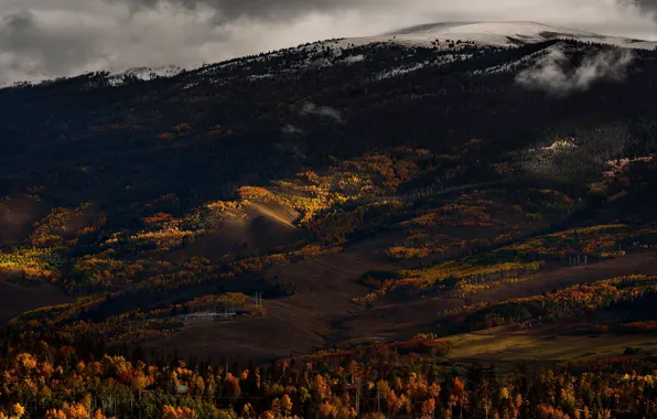 Autumn, forest, trees, mountains, the dark background, overcast, hills, the slopes