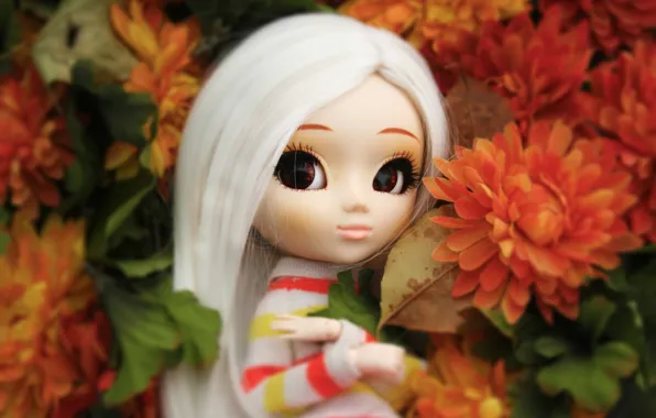Flowers, doll, big eyes