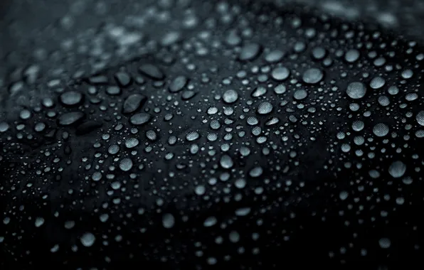Water, drops, macro, umbrella