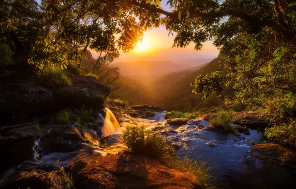 Trees, sunset, stream, waterfall, Australia, Australia, Queensland, QLD