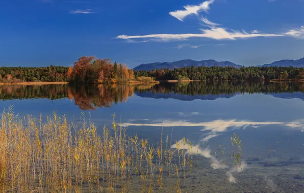 Picture autumn, forest, mountains, lake, reflection, Germany, Bayern, Germany