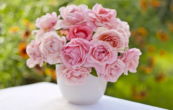 Picture roses, bouquet, bokeh