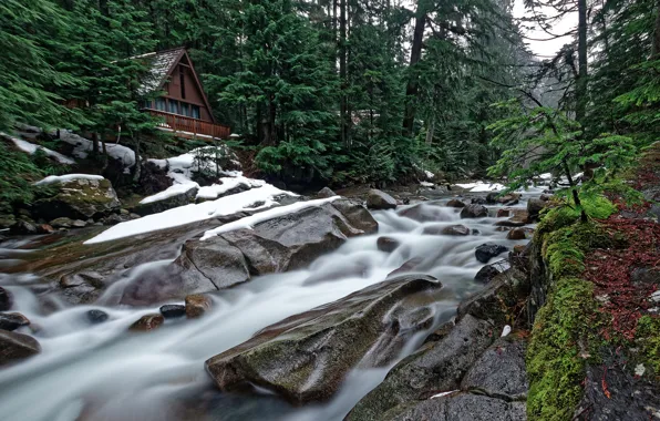 Picture forest, trees, house, river, stones, cascade, Washington State, Washington