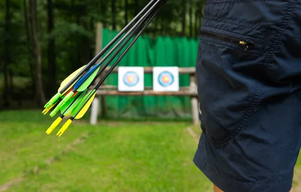 Picture arrows, archery, target