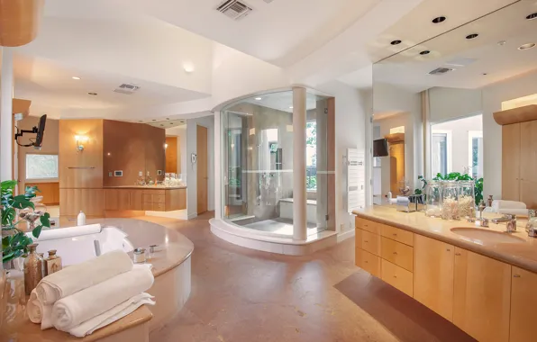 Picture interior, home, luxury, bathroom