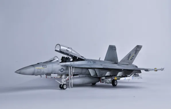 Picture toy, fighter, multipurpose, Hornet, model, "Hornet", CF-18