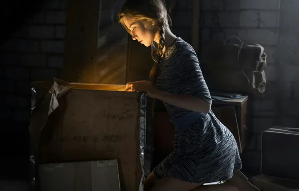 Girl, light, pigtail, Dmitry Begma, The old attic