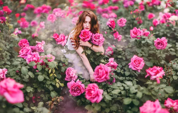 Picture girl, flowers, roses, Kristina Makeeva