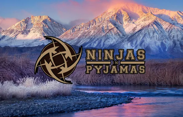 CSGO, nip, NiP, Counter-Strike: Global Offensive, Ninjas in Pyjamas, Proffesional team