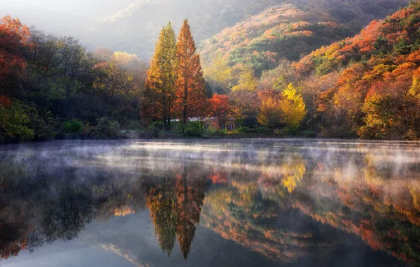 Lake, reflection, autumn trees, wooded hills