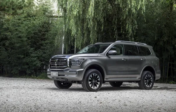 Trees, SUV, exterior, Great Wall, 2021, Tank 500