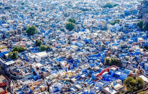 Picture India, India, Jodhpur, Blue city, The Blue City