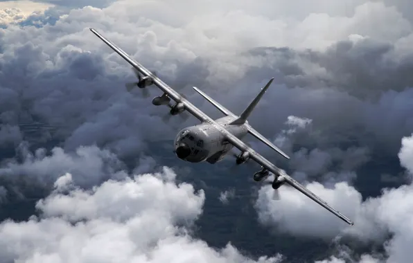 The plane, American, military transport, Hercules, C-130