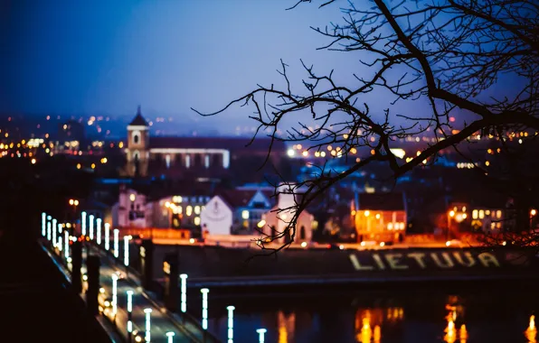 Road, trees, night, bridge, the city, lights, tree, branch