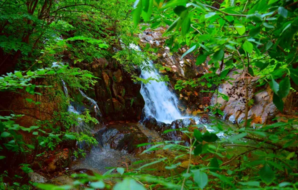 Picture Nature, Stream, Waterfall, Stones, Nature, Waterfall, Flow