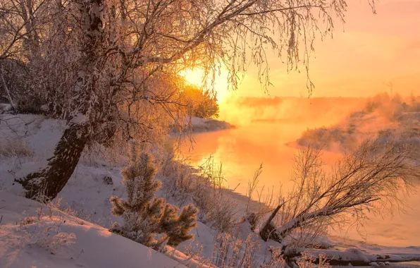 Picture winter, the sun, snow, trees, nature, dawn, river