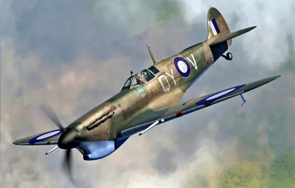 Fighter, Supermarine Spitfire, RAAF, Spitfire Mk.Vc/trop, Spitfire Mk.V