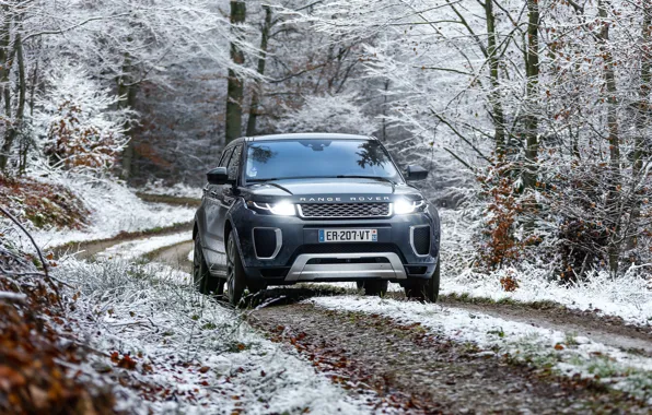 Winter, snow, lights, Range Rover, Evoque, Autobiography, Si4