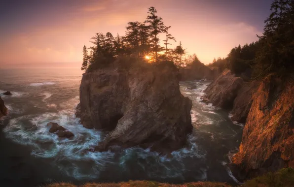 Picture sea, wave, the sky, light, trees, sunset, rocks, shore